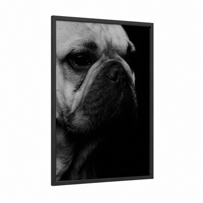 Stoic Bulldog framed art print — black wood frame — black and white palette