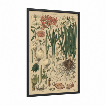 Spring Botanical Study framed art print — black wood frame — cream and dark green palette
