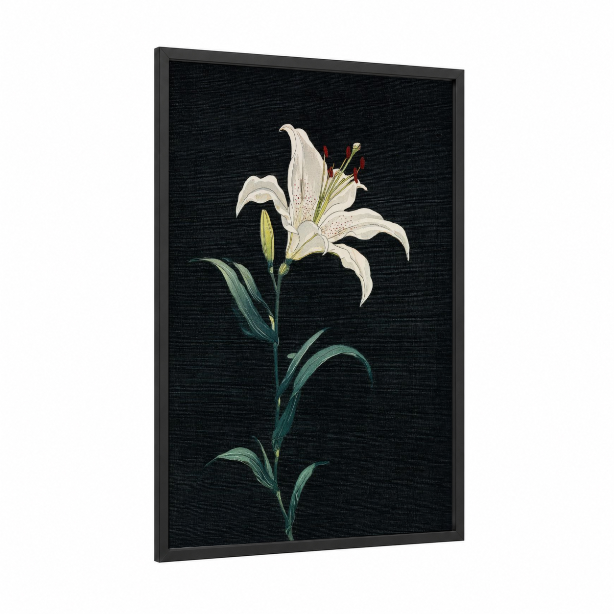 White Lily Study framed art print — black wood frame — white and black palette
