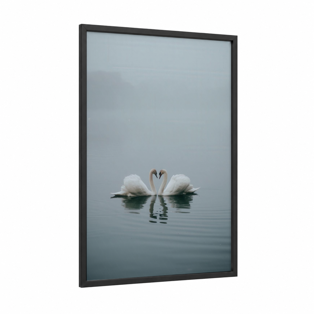 Misty Swan Pair framed art print — black wood frame — gray and white and dove gray palette