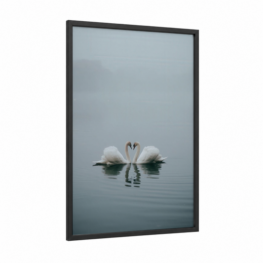 Misty Swan Pair framed art print — black wood frame — gray and white and dove gray palette