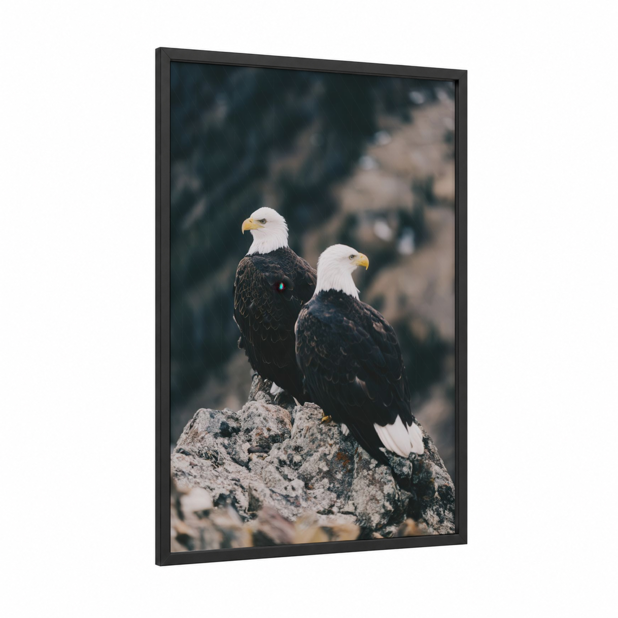 Alpine Eagle Pair framed art print — black wood frame — white and black palette