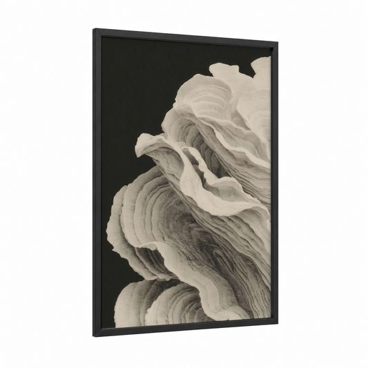 Sculptural Oyster Shell framed art print — black wood frame — black and white and cream palette
