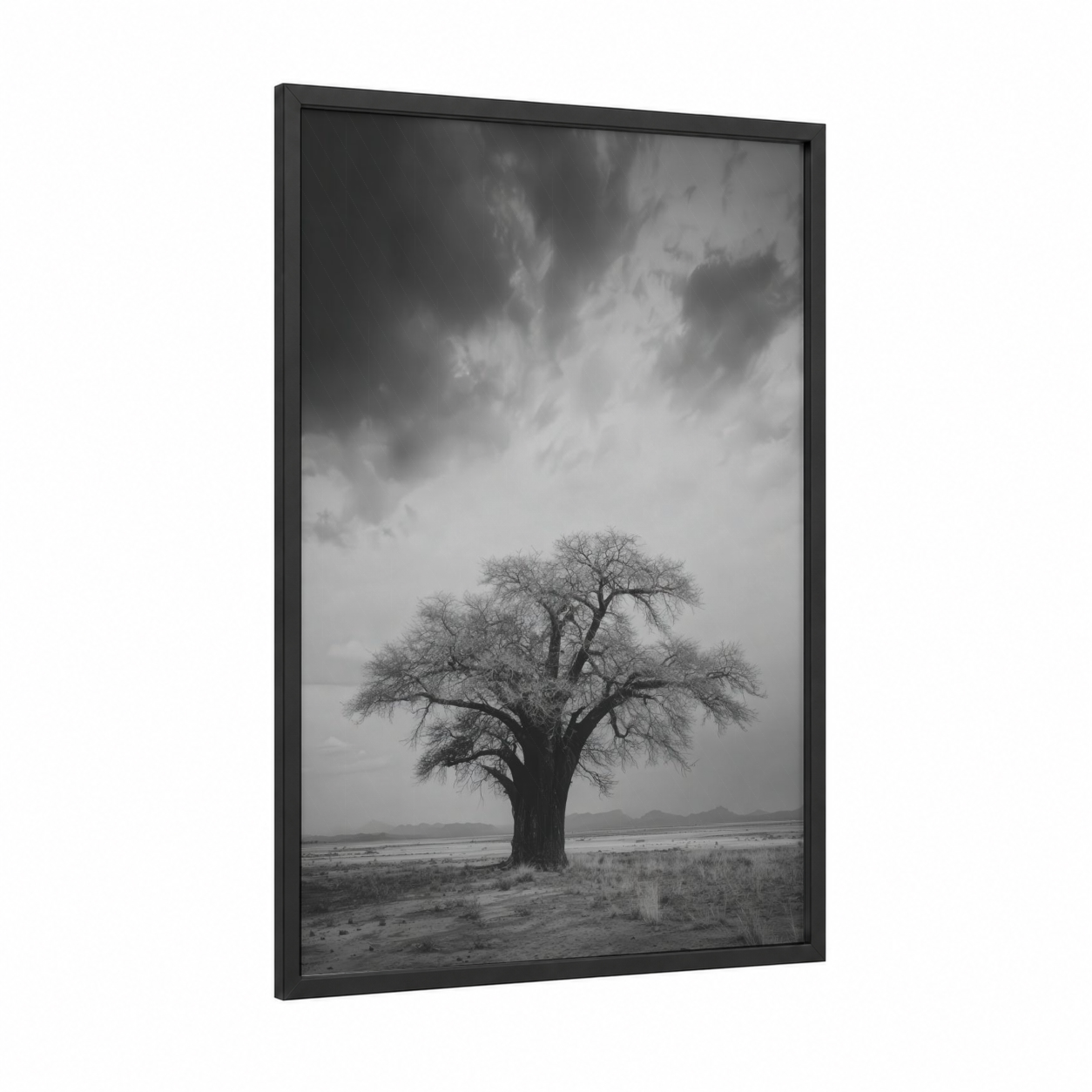 Solitary Baobab framed baobab tree print — black wood frame — black and white and gray palette