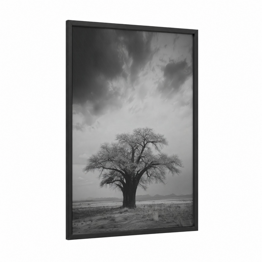 Solitary Baobab framed baobab tree print — black wood frame — black and white and gray palette