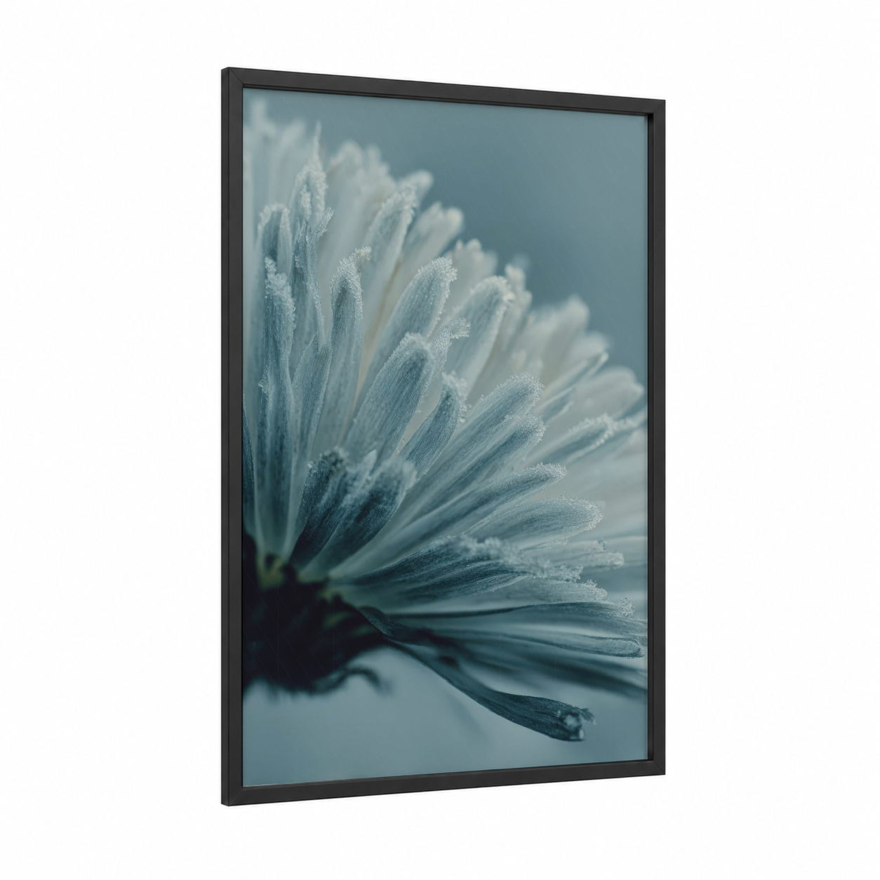 Frosted Daisy framed art print — black wood frame — blue and white and dove gray palette