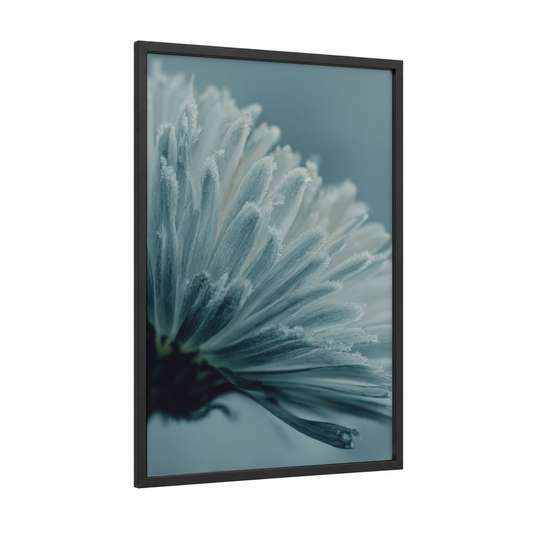 Frosted Daisy framed art print — black wood frame — blue and white and dove gray palette