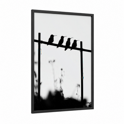 Perched Hummingbirds framed art print — black wood frame — black and white palette