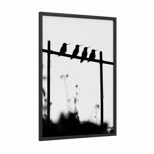 Perched Hummingbirds framed art print — black wood frame — black and white palette