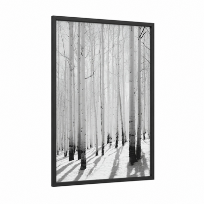 Snowy Aspen Grove framed aspen forest print — black wood frame — white and gray palette