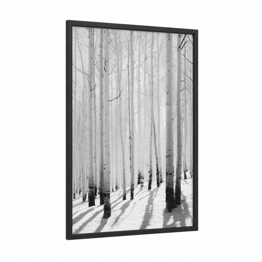 Snowy Aspen Grove framed aspen forest print — black wood frame — white and gray palette