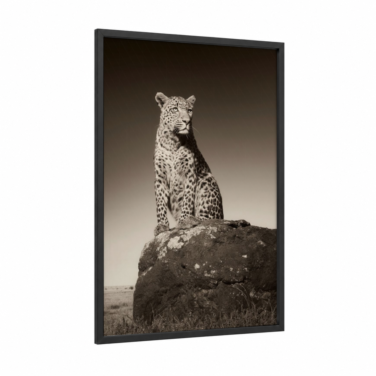 Sentinel Leopard framed art print — black wood frame — black and white and gray palette