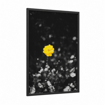 Luminous Bloom framed abstract flower print — black wood frame — yellow and black and white palette