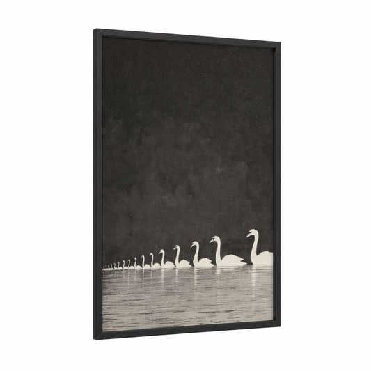 Graceful Swan Procession framed art print — black wood frame — black and white palette