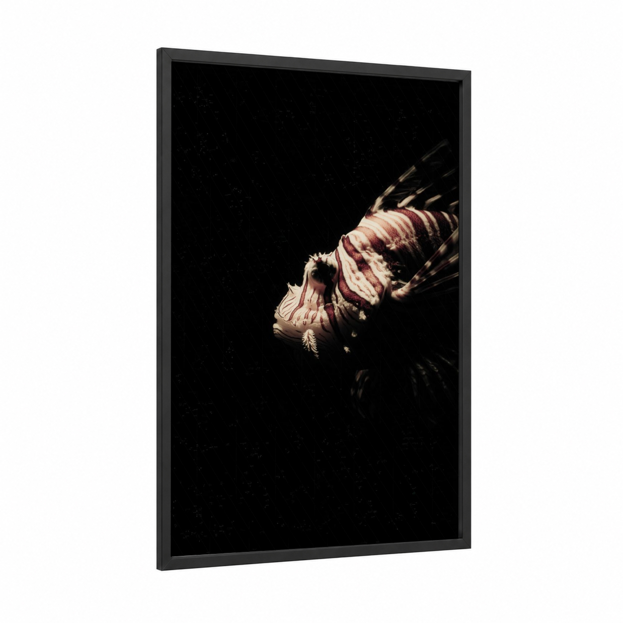 Crimson Lionfish framed art print — black wood frame — black and maroon palette