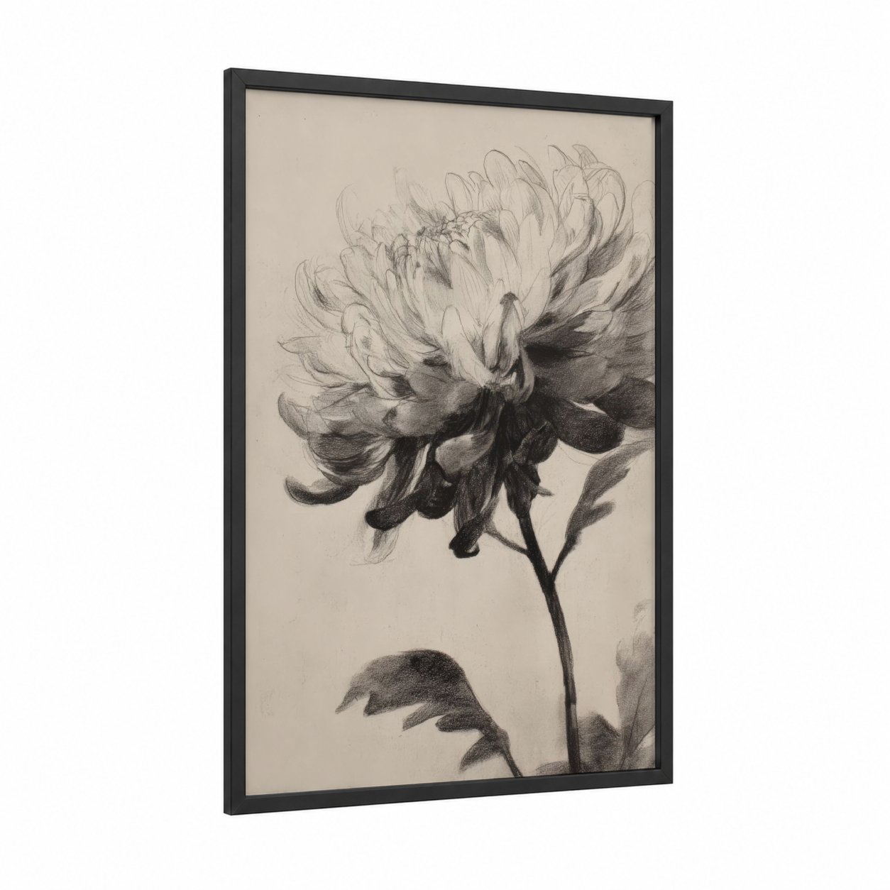 Delicate Chrysanthemum framed art print — black wood frame — black and white palette
