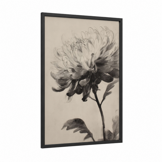 Delicate Chrysanthemum framed art print — black wood frame — black and white palette