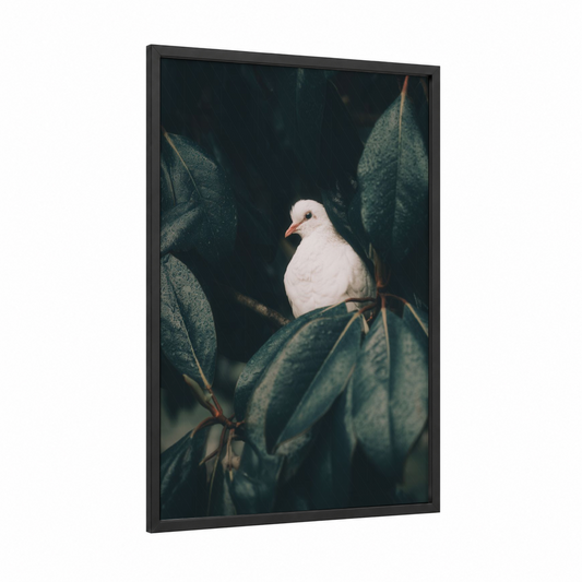 Leafy White Dove framed art print — black wood frame — white and dark green palette