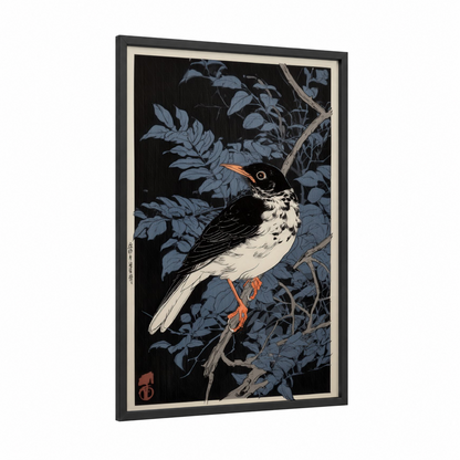 Spotted Thrush framed art print — black wood frame — black and white and blue palette