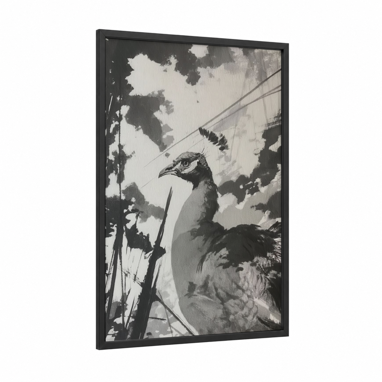 Regal Peacock framed art print — black wood frame — black and white palette