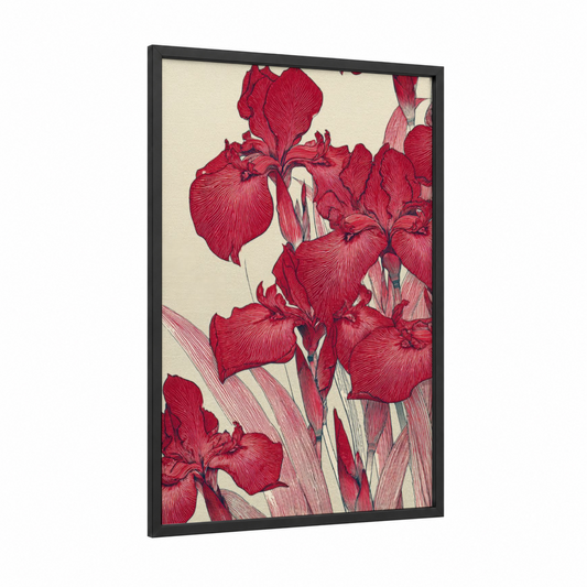 Crimson Iris Cluster framed amarillys print — black wood frame — red and cream palette