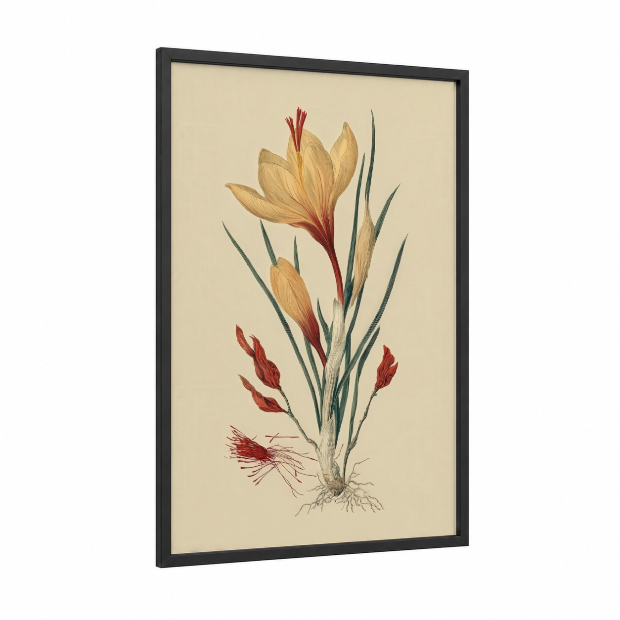 Golden Clivia framed herbs and spices print — black wood frame — cream and russet palette