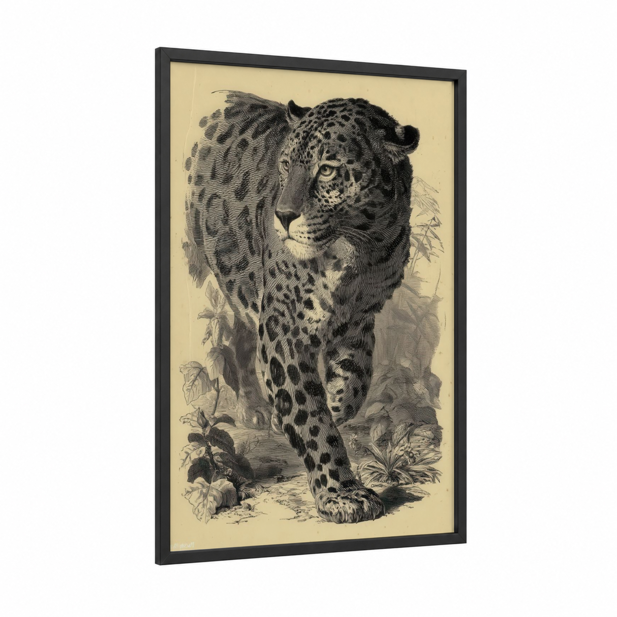 Spotted Jaguar framed art print — black wood frame — black and white and cream palette
