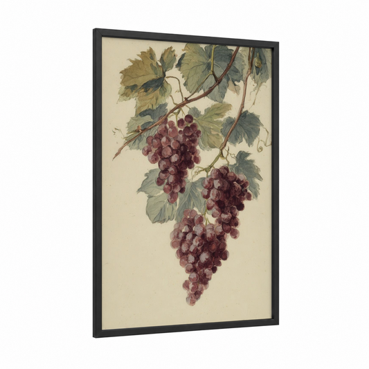 Vintage Grape Bunches framed fruit print — black wood frame — green palette