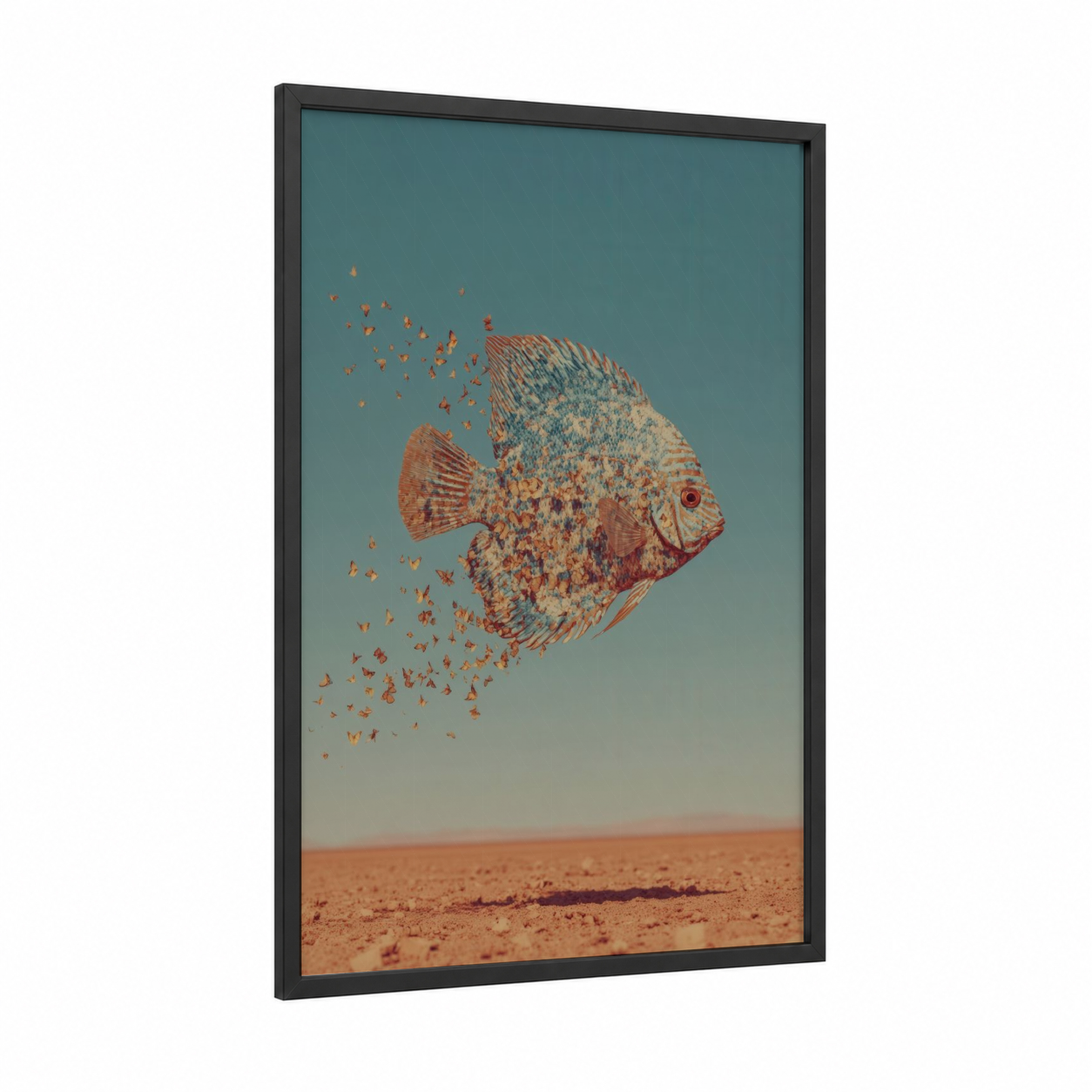 Dissolving Discus framed discus fish print — black wood frame — teal and russet palette