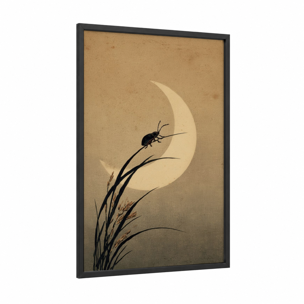 Moonlit Beetle framed art print — black wood frame — cream and black palette