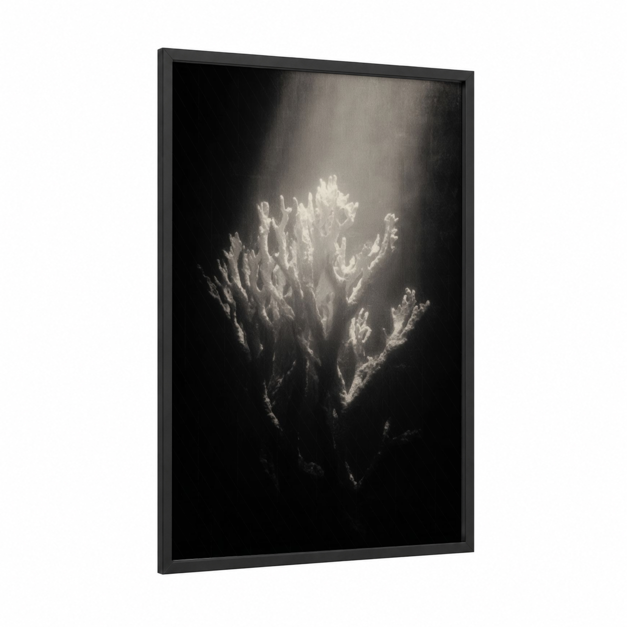 Luminous Coral framed art print — black wood frame — black and white and white palette