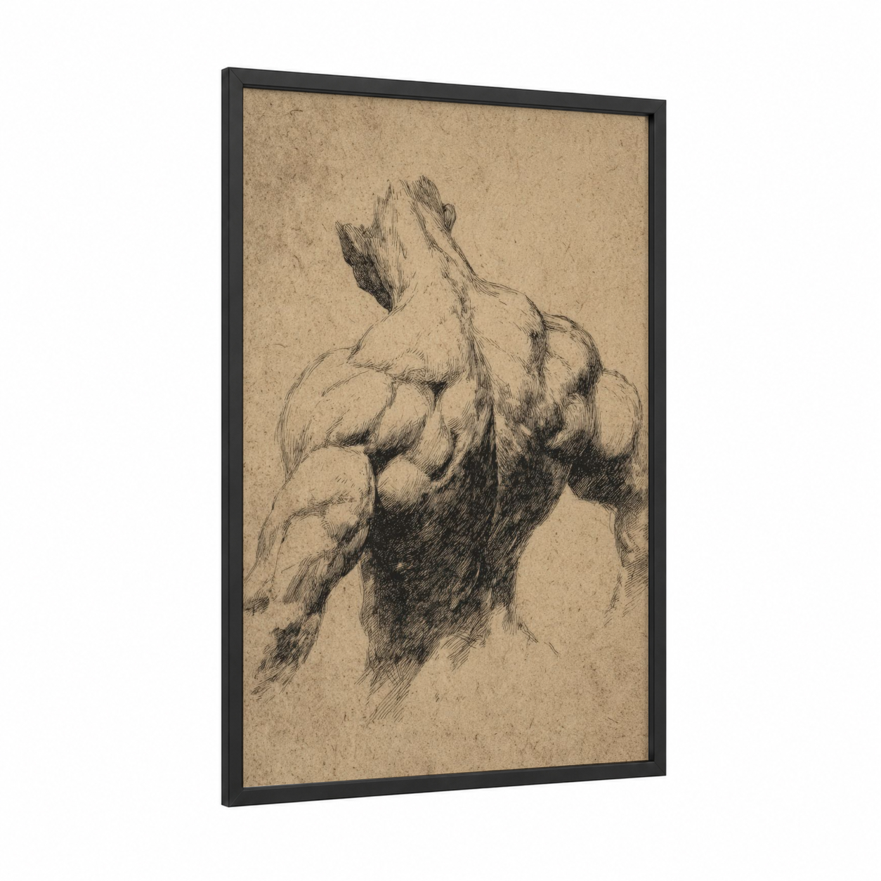 Muscular Study framed bodybuilding print — black wood frame — beige and black and white palette