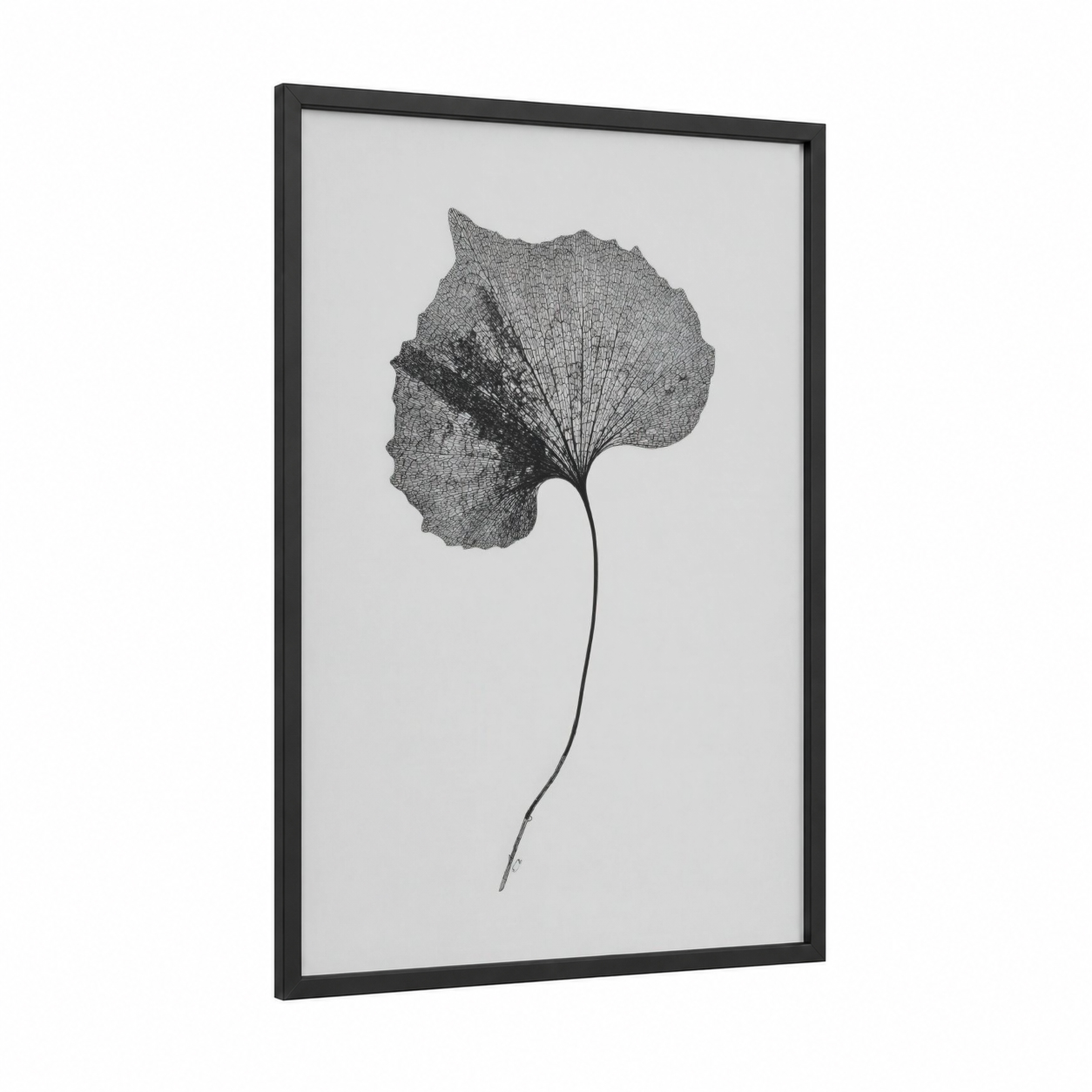 Skeletal Linden framed linden tree print — black wood frame — black and white palette