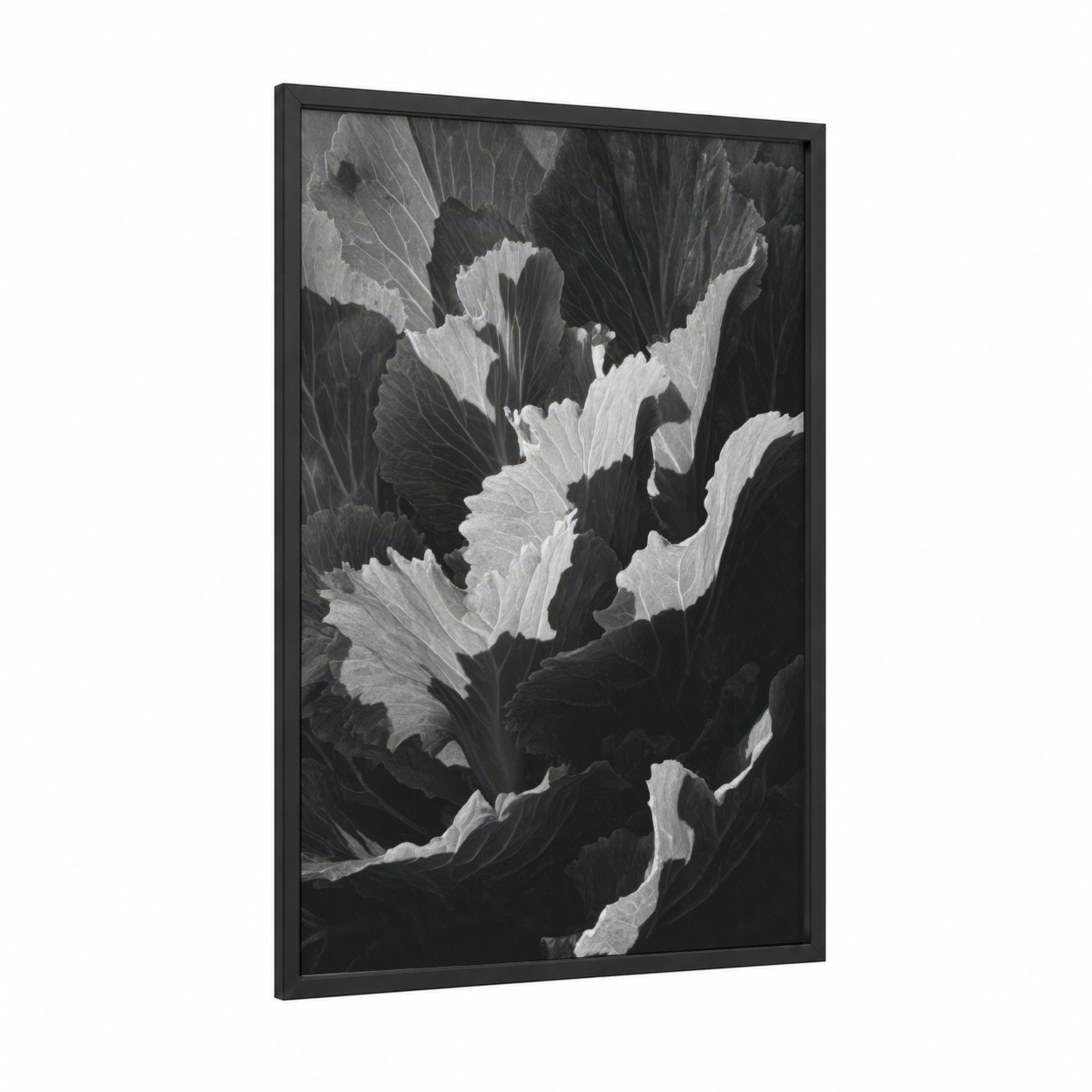 Textured Leaf Study framed art print — black wood frame — black and white palette