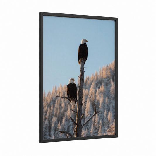 Snowy Peak Eagles framed art print — black wood frame — blue and gold palette
