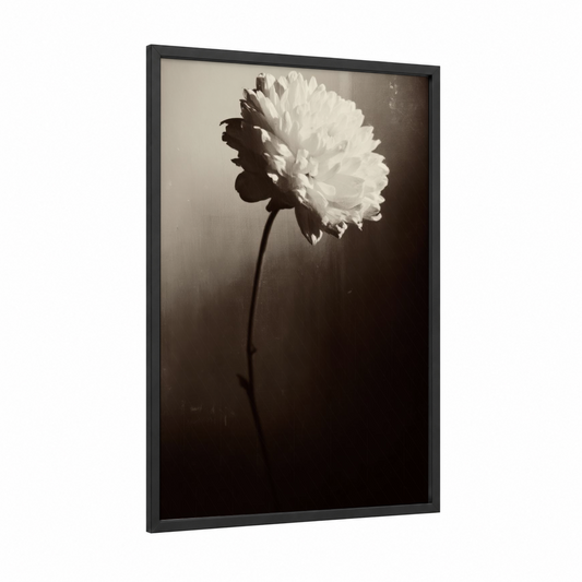 Monochrome Peony framed abstract flower print — black wood frame — black and white and gray palette