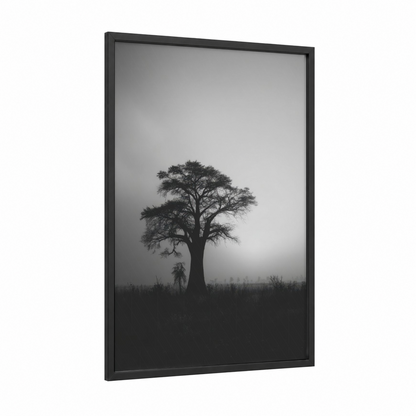 Misty Baobab framed baobab tree print — black wood frame — black and white palette