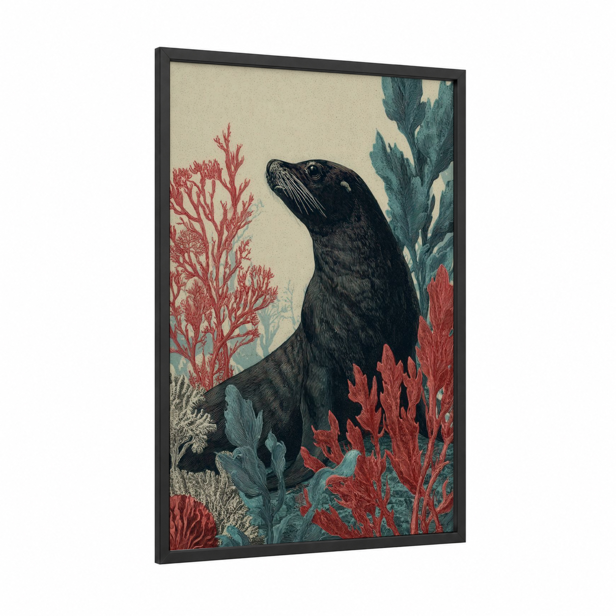 Coastal Sea Lion framed art print — black wood frame — cream and teal palette