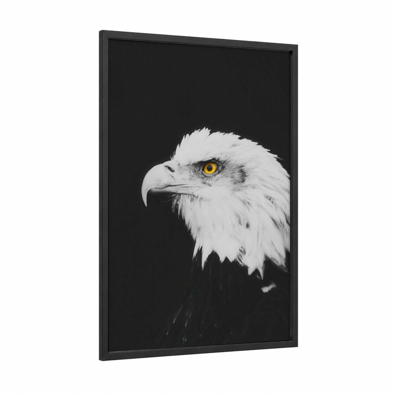 Golden Eagle Portrait framed art print — black wood frame — black and white palette