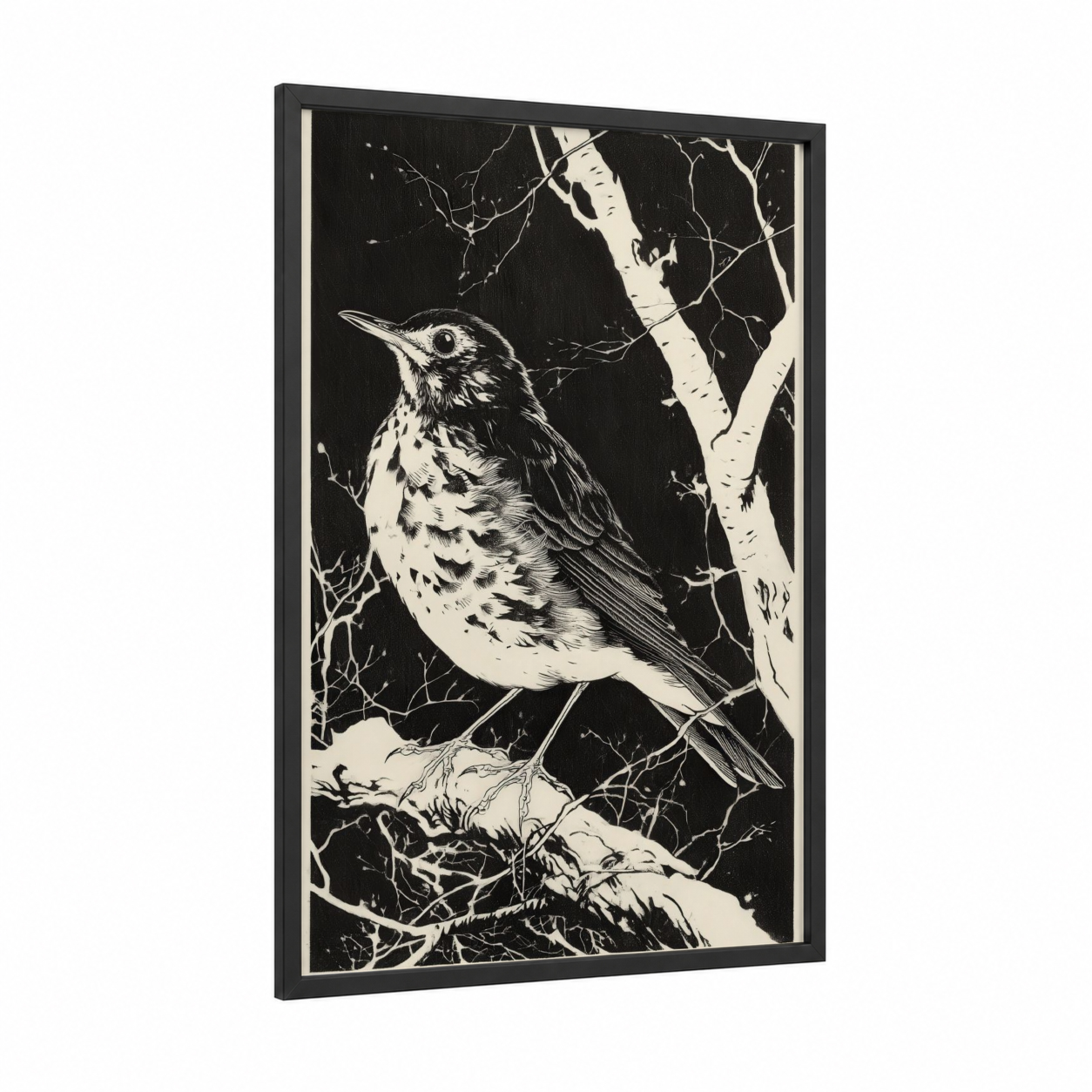 Spotted Thrush framed art print — black wood frame — black and white palette