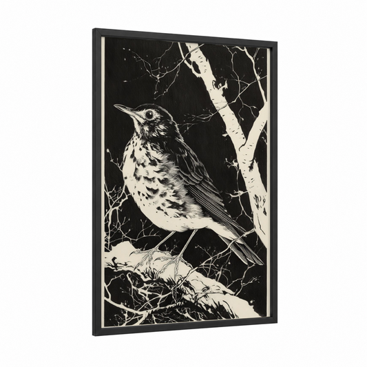 Spotted Thrush framed art print — black wood frame — black and white palette
