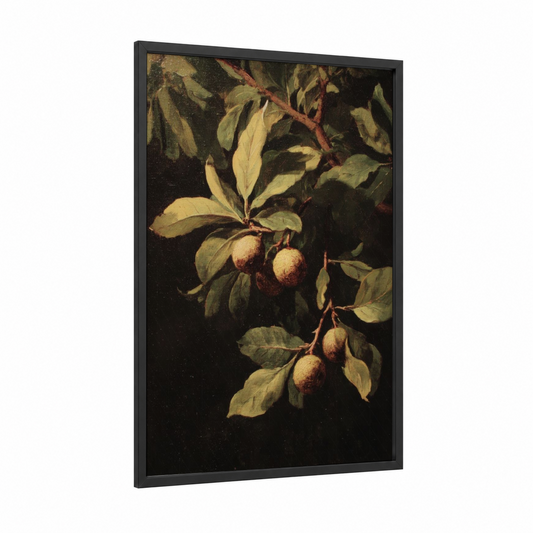 Medlar Fruit Study framed herbs and spices print — black wood frame — gold and black palette