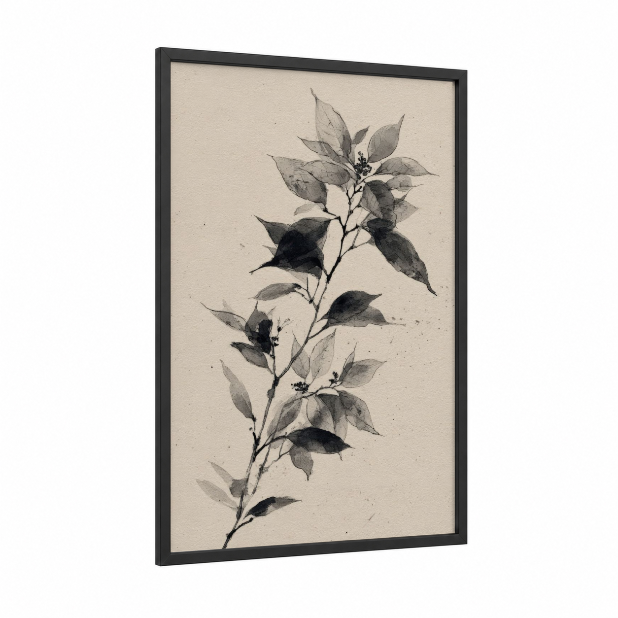 Botanical Poinsettia Study framed poinsettias print — black wood frame — gray and black and white palette