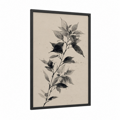 Botanical Poinsettia Study framed poinsettias print — black wood frame — gray and black and white palette
