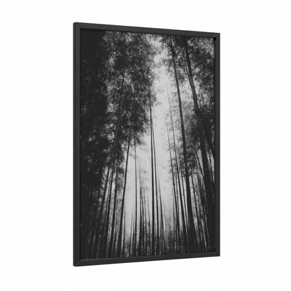 Misty Bamboo Grove framed bamboo jungle print — black wood frame — black and white palette