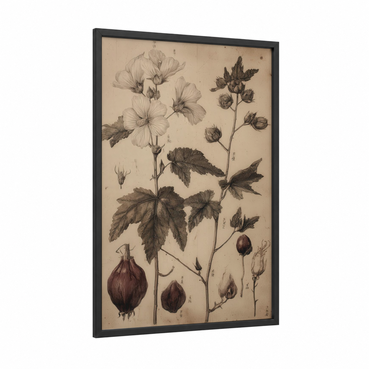 Botanical Herbs Study framed art print — black wood frame — beige and black palette