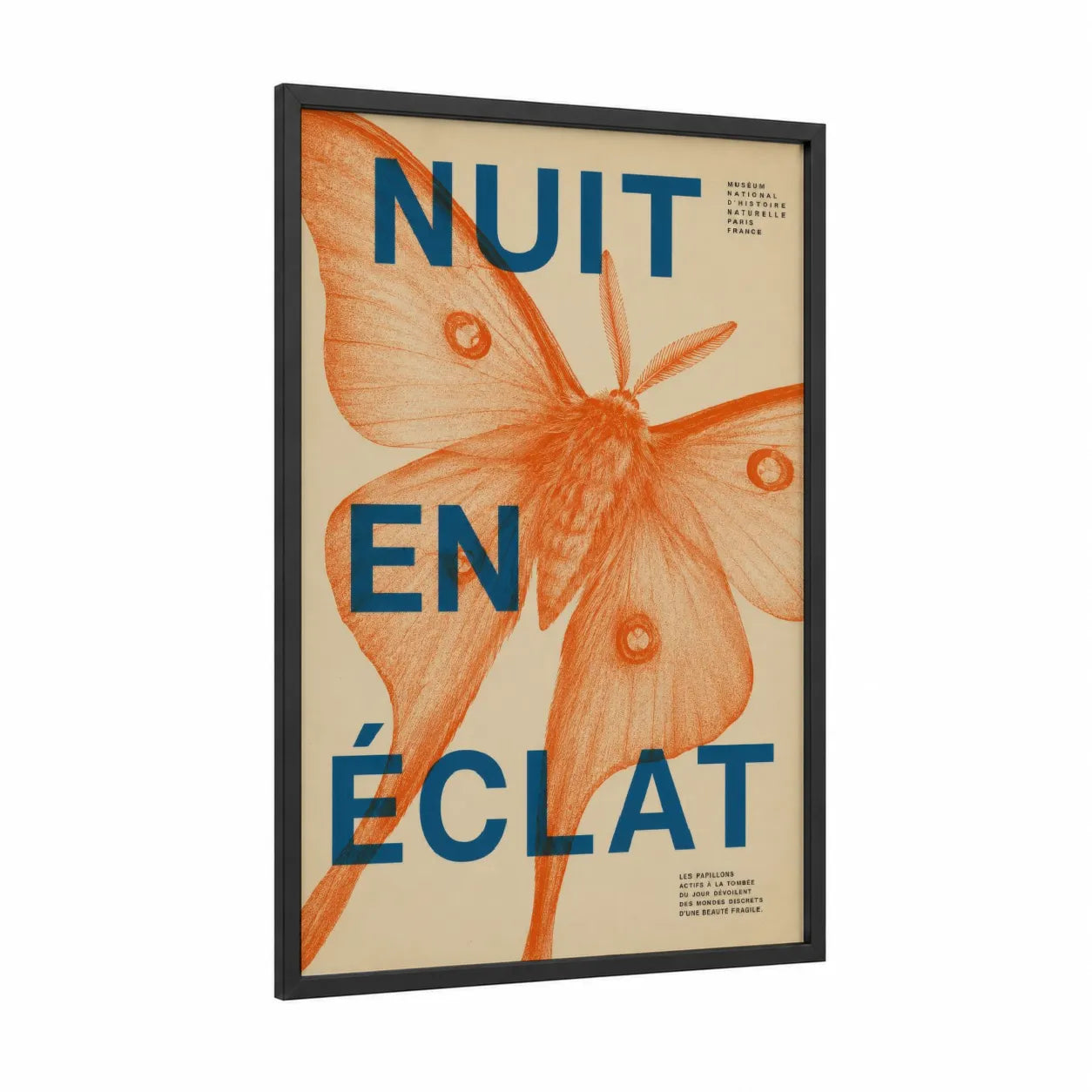 Vintage Butterfly Museum Poster Wall Art framed art print — black wood frame — orange and blue palette