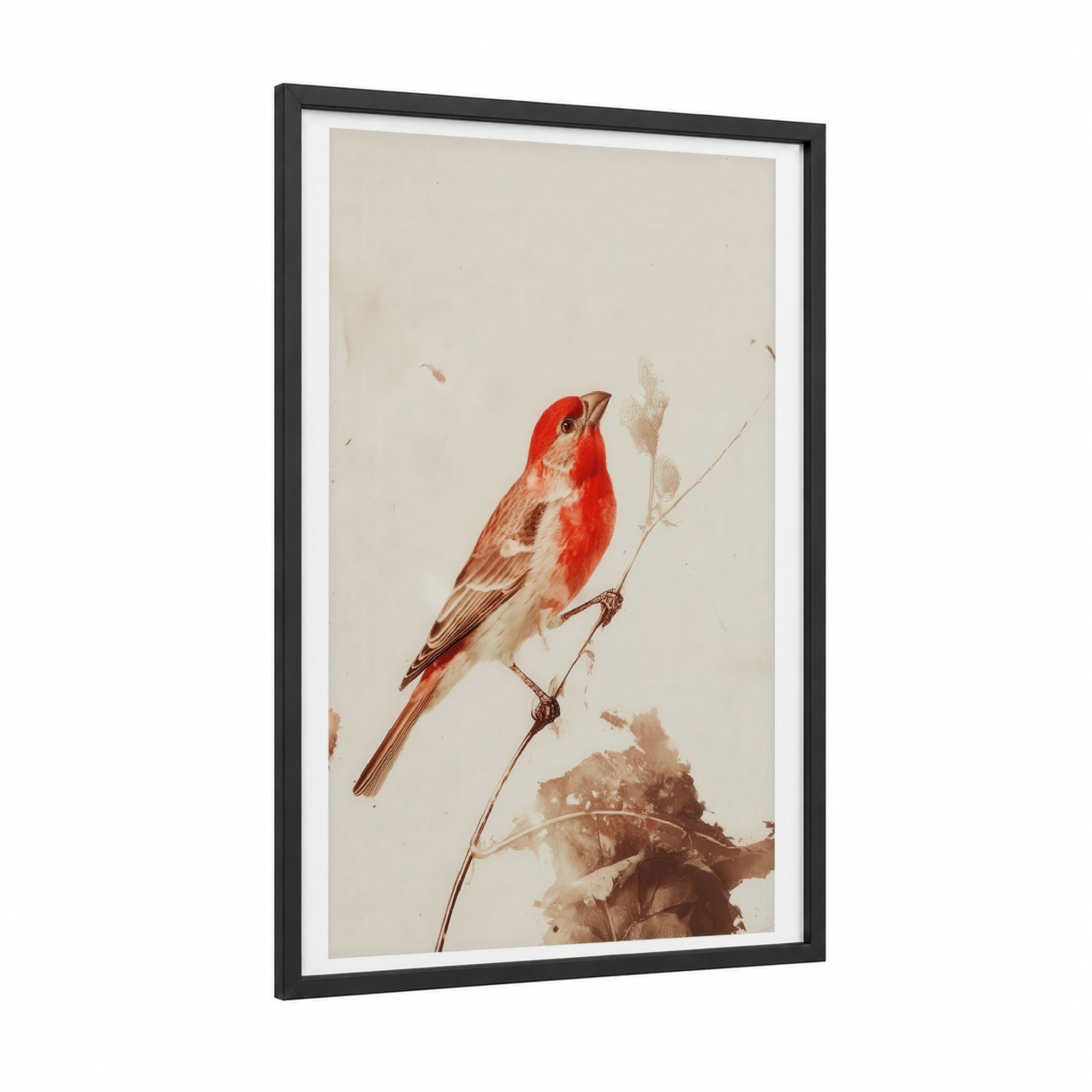 Scarlet Finch Branch framed art print — black wood frame — red and cream palette