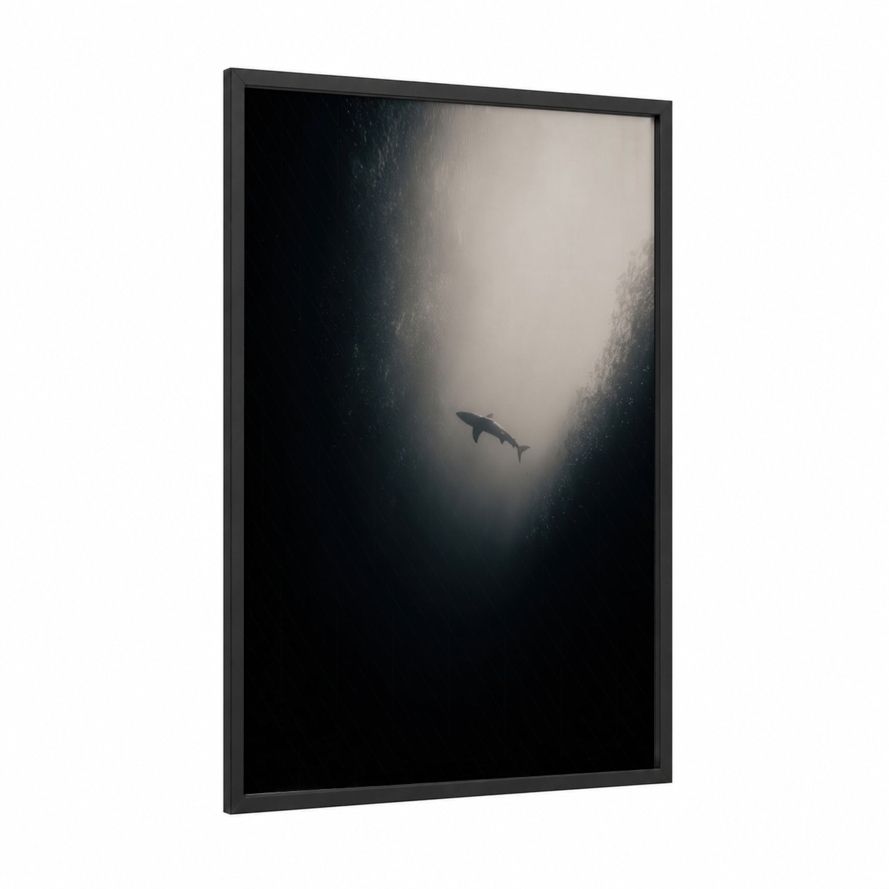 Solitary Blue Shark framed art print — black wood frame — black and white and dove gray palette