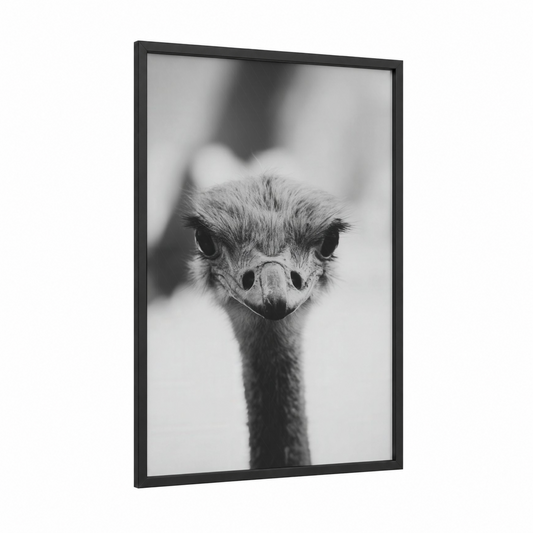 Curious Ostrich framed art print — black wood frame — black and white palette